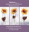 Tablouri, Flori, Sunflower Edition